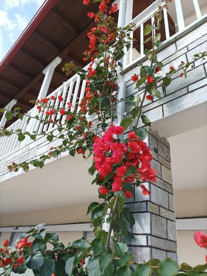 Bella Terra Nature Living Asprovalta Extérieur photo